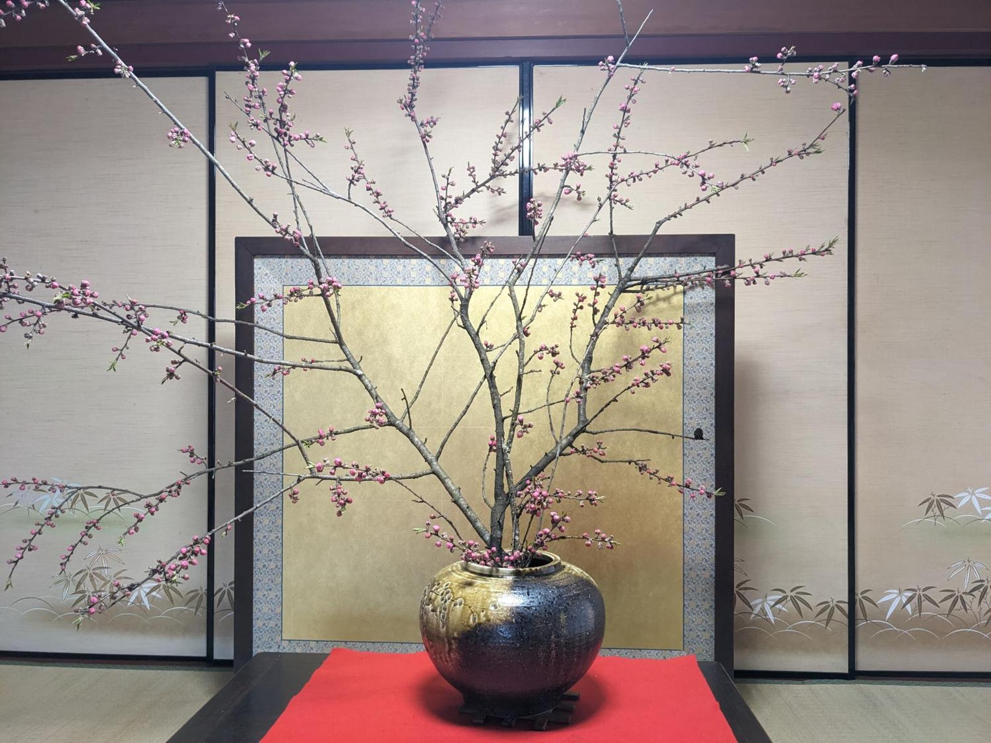 Farm Stay Inn Sanzaemon-Tei 母屋guesthouse Shiga-Takasima Traditional Japanese Architecture House Экстерьер фото